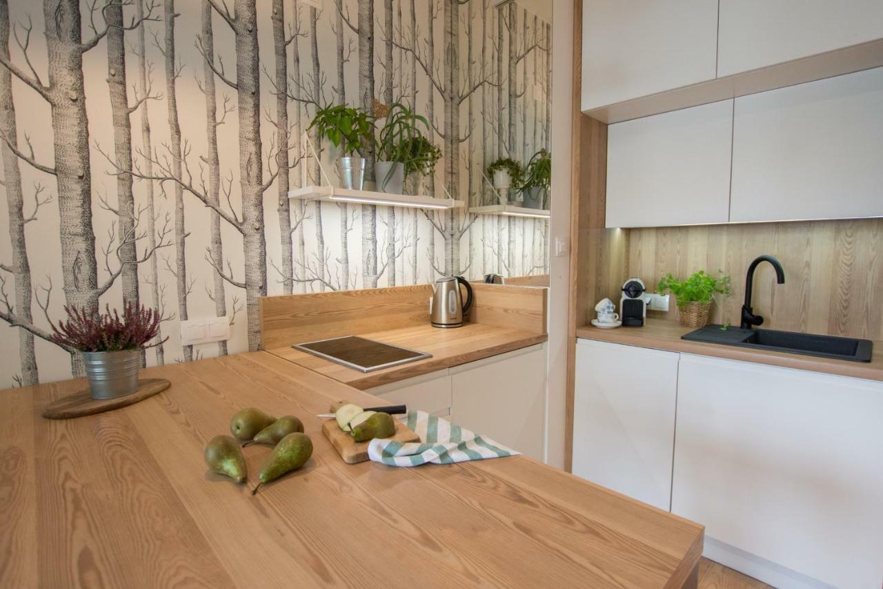 Rakowicka Apartment クラクフ エクステリア 写真